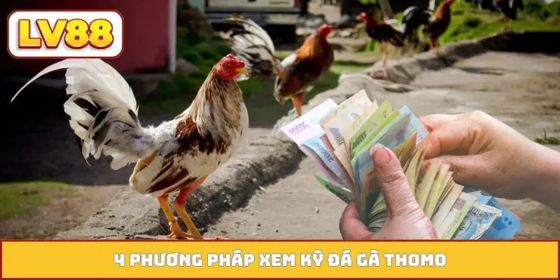 4 phương pháp xem kỹ đá gà Thomo